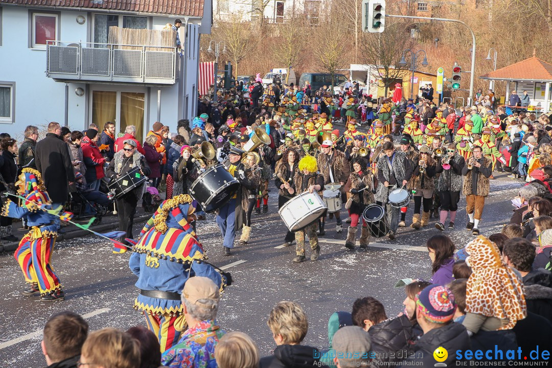 Narrensprung: Hasenweiler am Bodensee, 12.01.2014
