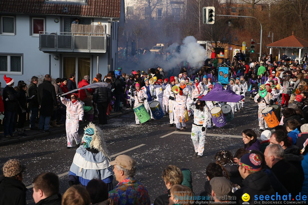 Narrensprung: Hasenweiler am Bodensee, 12.01.2014