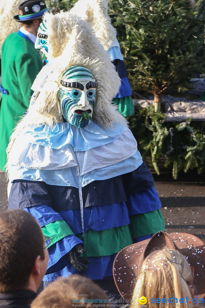 Narrensprung: Hasenweiler am Bodensee, 12.01.2014