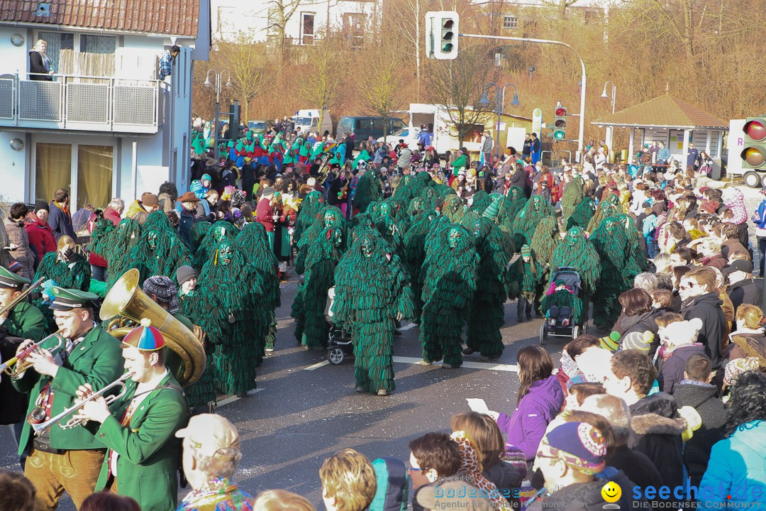 Narrensprung: Hasenweiler am Bodensee, 12.01.2014