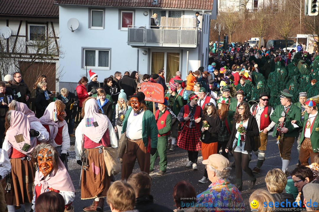 Narrensprung: Hasenweiler am Bodensee, 12.01.2014