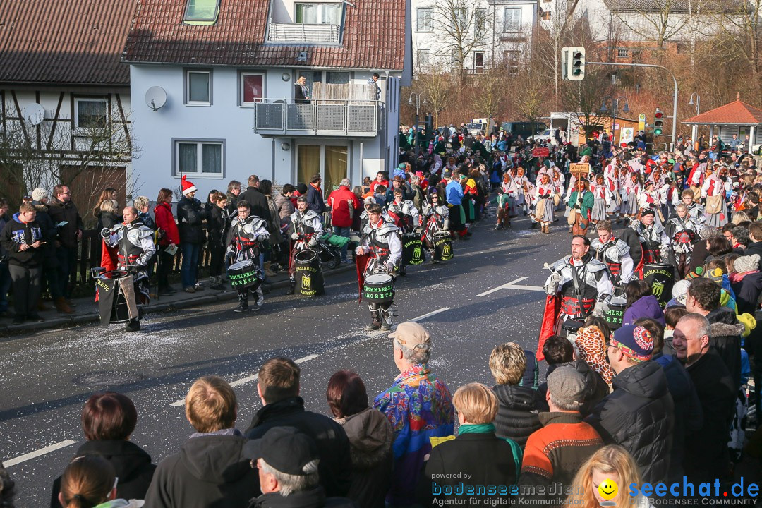 Narrensprung: Hasenweiler am Bodensee, 12.01.2014