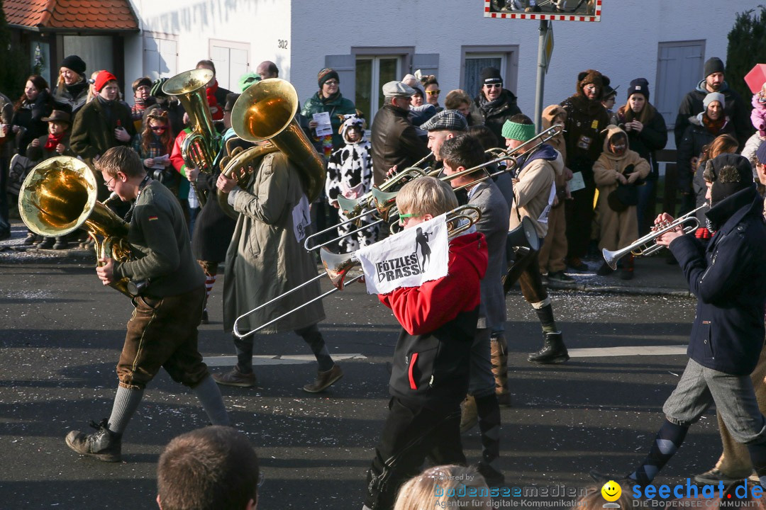 Narrensprung: Hasenweiler am Bodensee, 12.01.2014