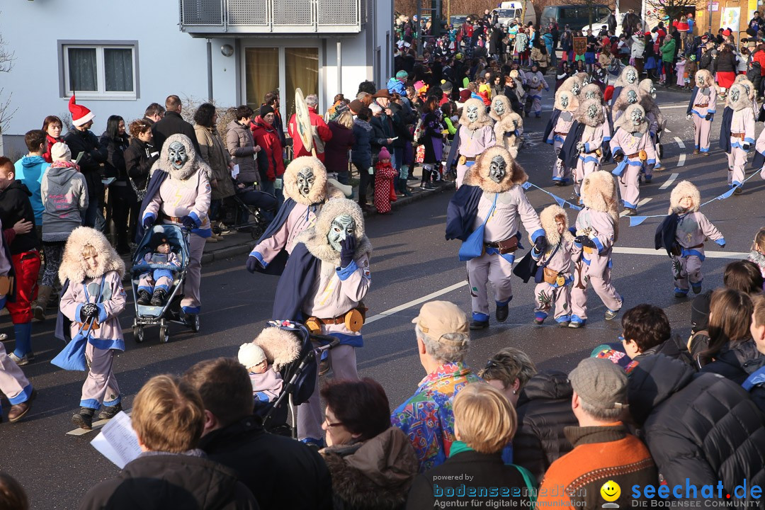 Narrensprung: Hasenweiler am Bodensee, 12.01.2014