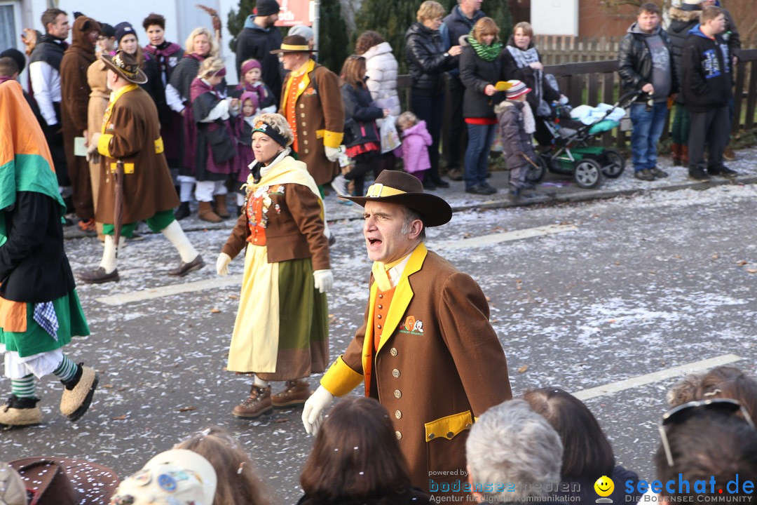 Narrensprung: Hasenweiler am Bodensee, 12.01.2014