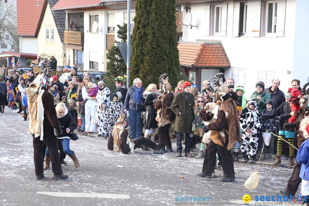 Narrensprung: Hasenweiler am Bodensee, 12.01.2014