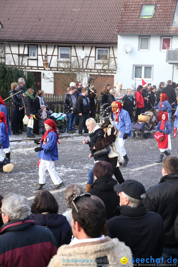 Narrensprung: Hasenweiler am Bodensee, 12.01.2014