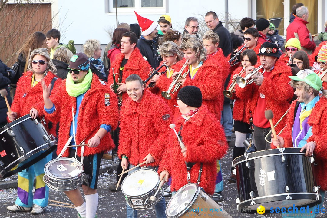 Narrensprung: Hasenweiler am Bodensee, 12.01.2014