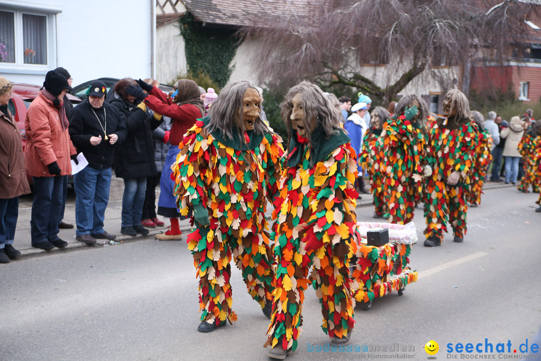 Jubilaeumsumzug-Berg-180114-Bodensee-Community-Seechat_de--3208.jpg