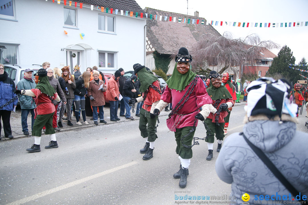 Jubilaeumsumzug-Berg-180114-Bodensee-Community-Seechat_de--3244.jpg