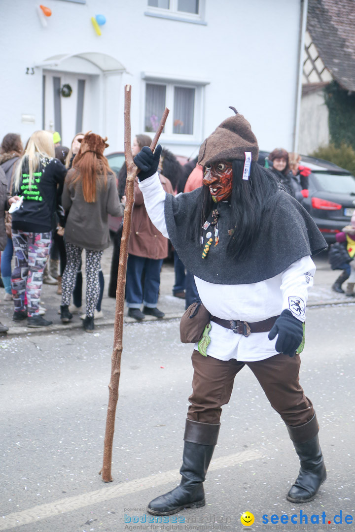 Jubilaeumsumzug-Berg-180114-Bodensee-Community-Seechat_de--3251.jpg