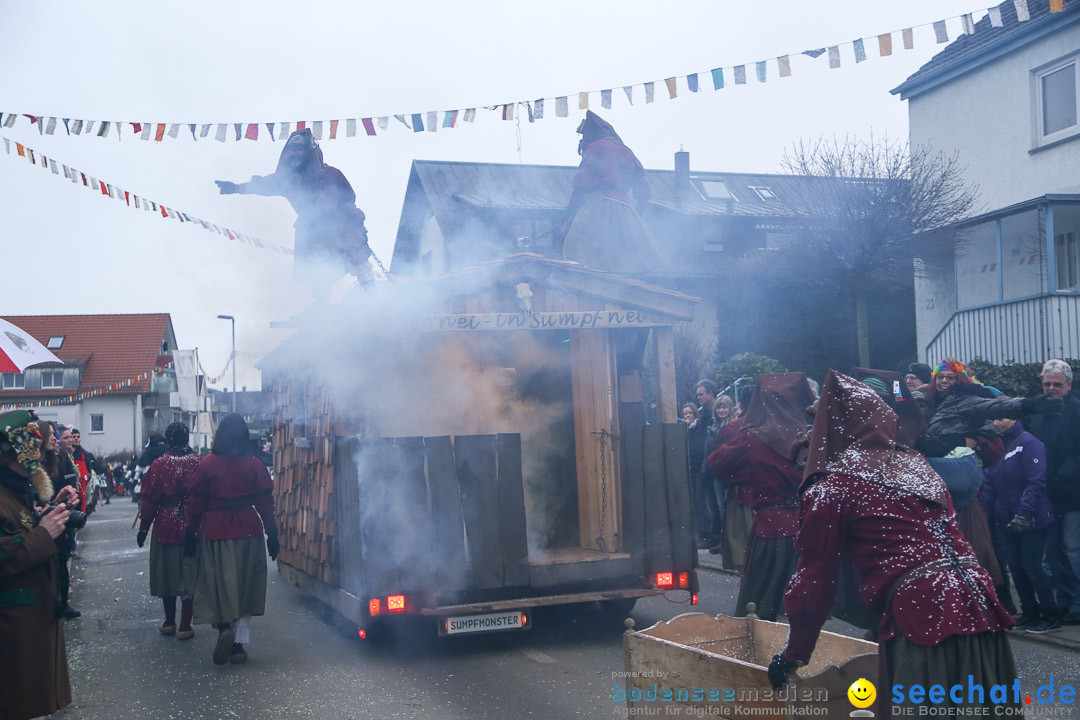 Jubilaeumsumzug-Berg-180114-Bodensee-Community-Seechat_de--3257.jpg