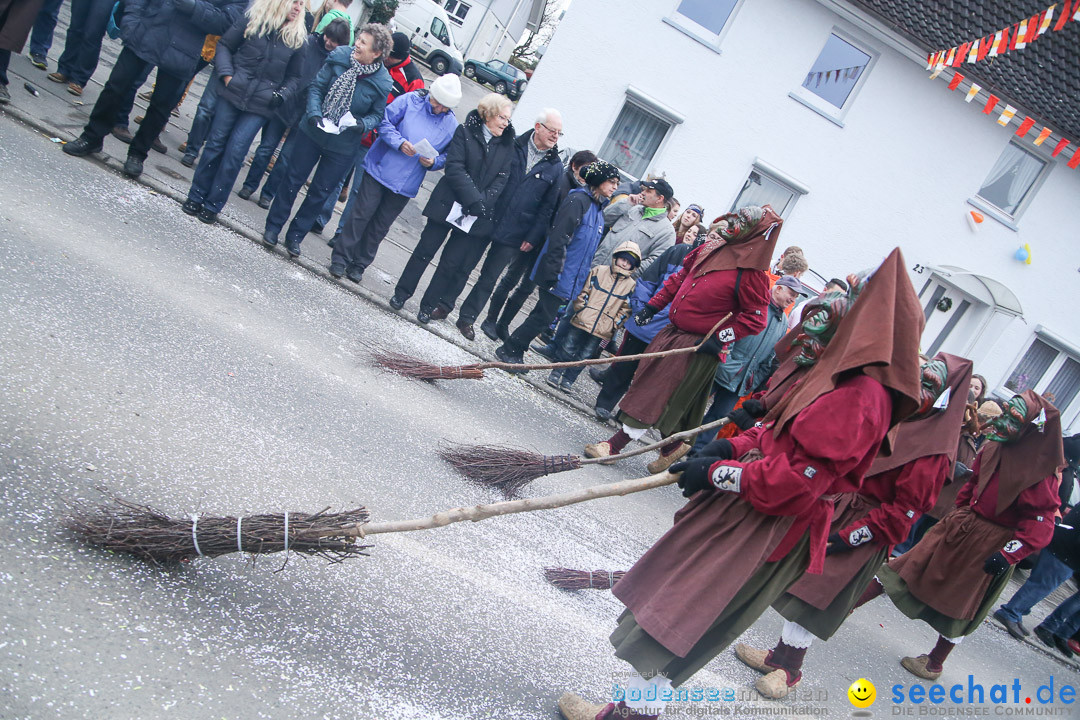 Jubilaeumsumzug-Berg-180114-Bodensee-Community-Seechat_de--3260.jpg