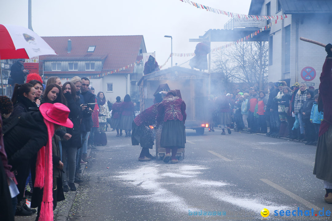 Jubilaeumsumzug-Berg-180114-Bodensee-Community-Seechat_de--3261.jpg