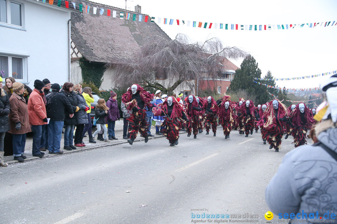 Jubilaeumsumzug-Berg-180114-Bodensee-Community-Seechat_de--3265.jpg