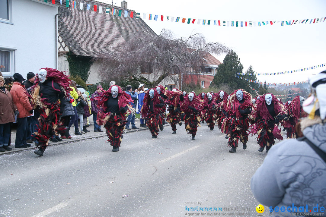 Jubilaeumsumzug-Berg-180114-Bodensee-Community-Seechat_de--3268.jpg