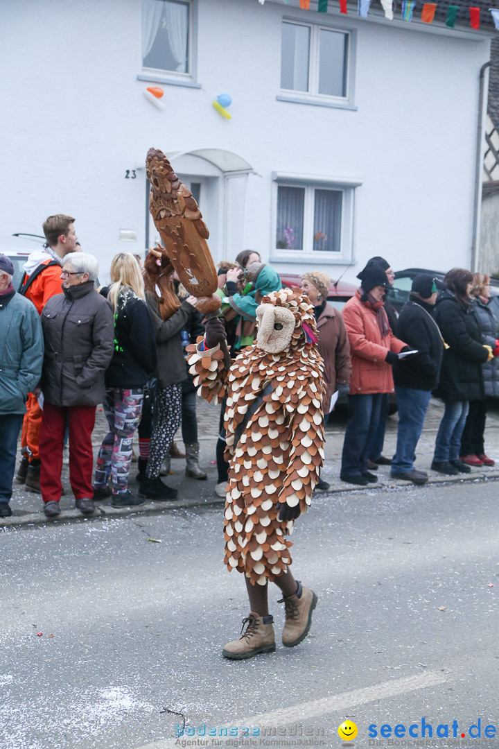Jubilaeumsumzug-Berg-180114-Bodensee-Community-Seechat_de--3280.jpg
