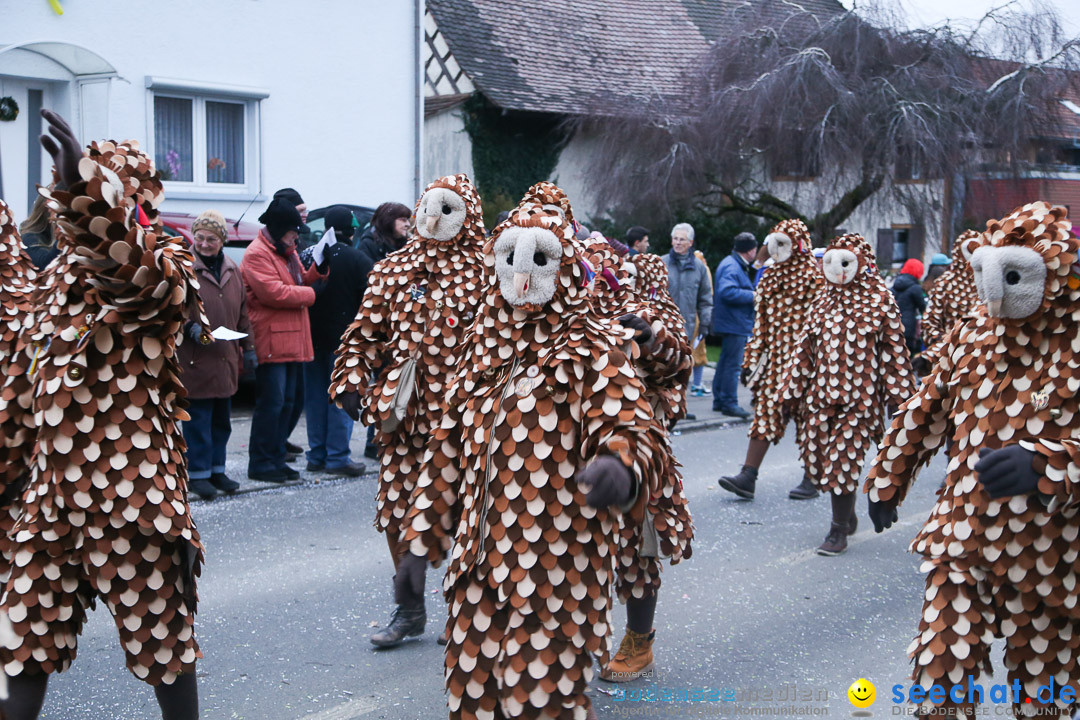 Jubilaeumsumzug-Berg-180114-Bodensee-Community-Seechat_de--3285.jpg
