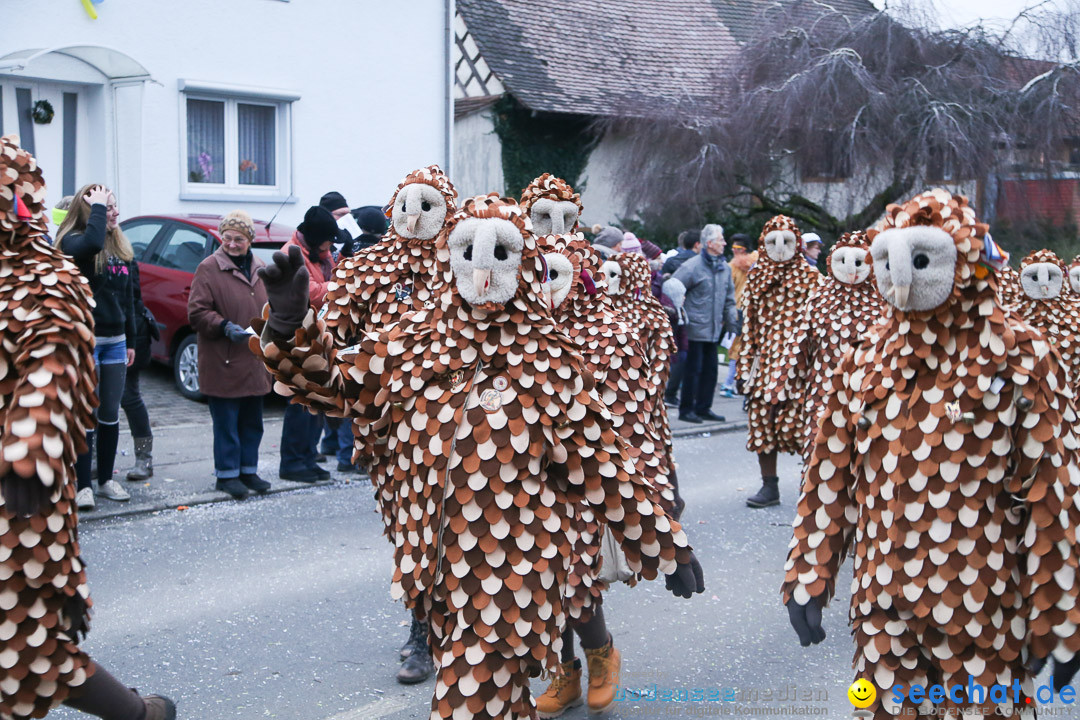 Jubilaeumsumzug-Berg-180114-Bodensee-Community-Seechat_de--3286.jpg