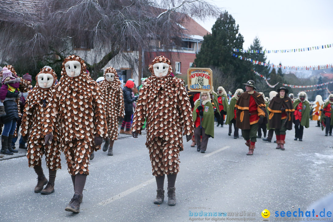 Jubilaeumsumzug-Berg-180114-Bodensee-Community-Seechat_de--3287.jpg