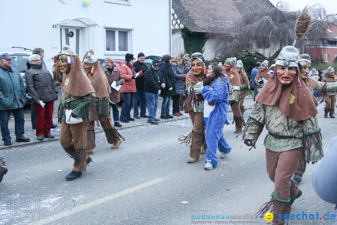 Jubilaeumsumzug-Berg-180114-Bodensee-Community-Seechat_de--3292.jpg