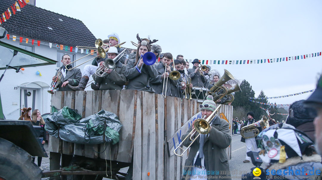 Jubilaeumsumzug-Berg-180114-Bodensee-Community-Seechat_de--3293.jpg
