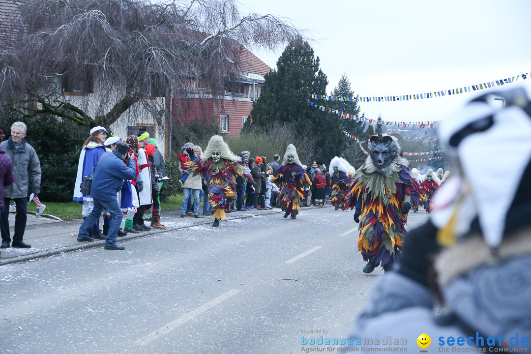 Jubilaeumsumzug-Berg-180114-Bodensee-Community-Seechat_de--3295.jpg
