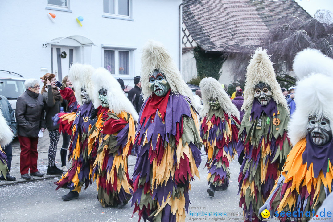Jubilaeumsumzug-Berg-180114-Bodensee-Community-Seechat_de--3296.jpg