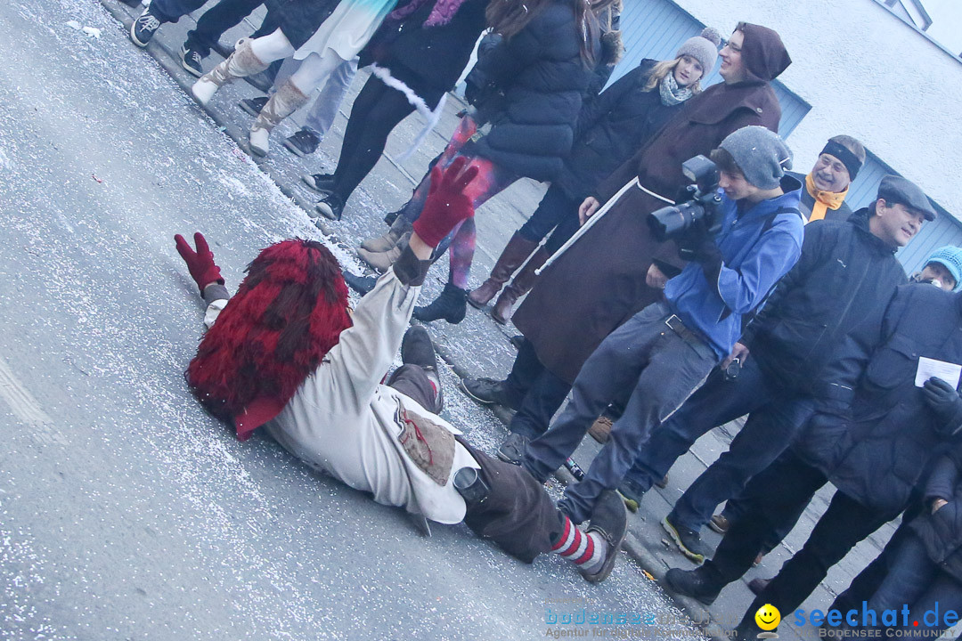 Jubilaeumsumzug-Berg-180114-Bodensee-Community-Seechat_de--3310.jpg