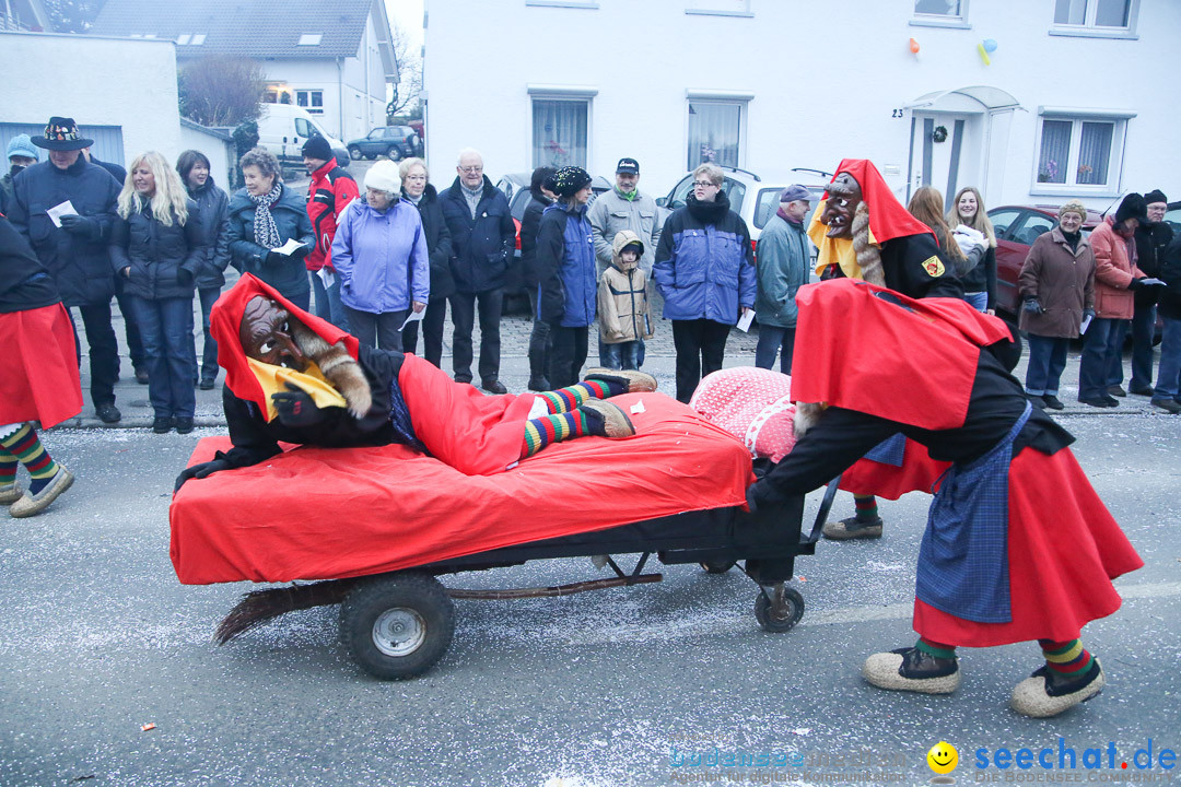 Jubilaeumsumzug-Berg-180114-Bodensee-Community-Seechat_de--3312.jpg