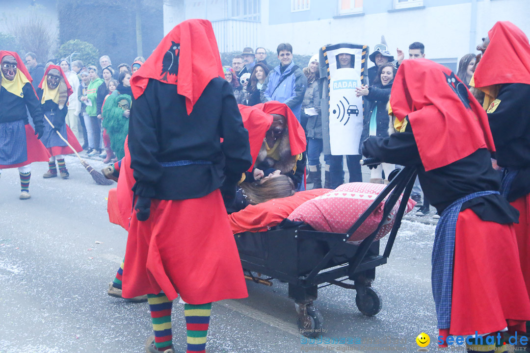 Jubilaeumsumzug-Berg-180114-Bodensee-Community-Seechat_de--3314.jpg