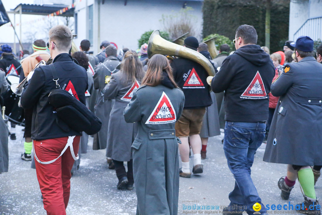 Jubilaeumsumzug-Berg-180114-Bodensee-Community-Seechat_de--3323.jpg