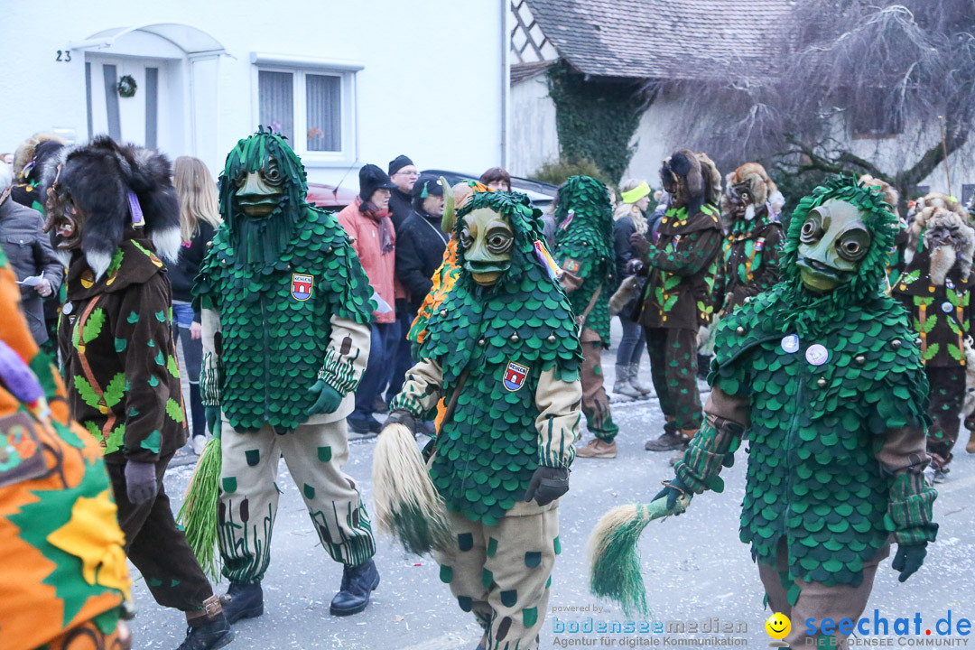 Jubilaeumsumzug-Berg-180114-Bodensee-Community-Seechat_de--3325.jpg
