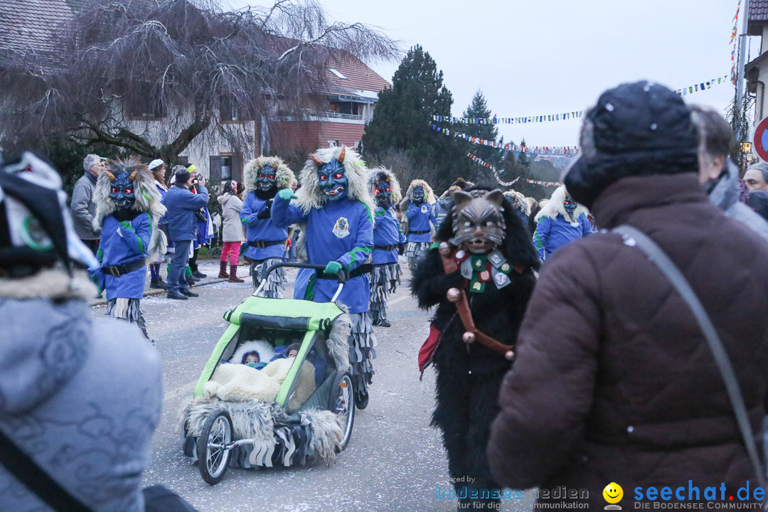 Jubilaeumsumzug-Berg-180114-Bodensee-Community-Seechat_de--3365.jpg