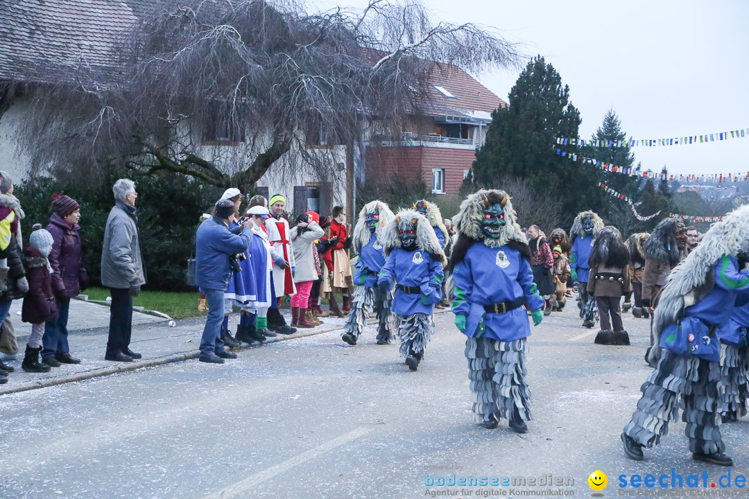 Jubilaeumsumzug-Berg-180114-Bodensee-Community-Seechat_de--3366.jpg