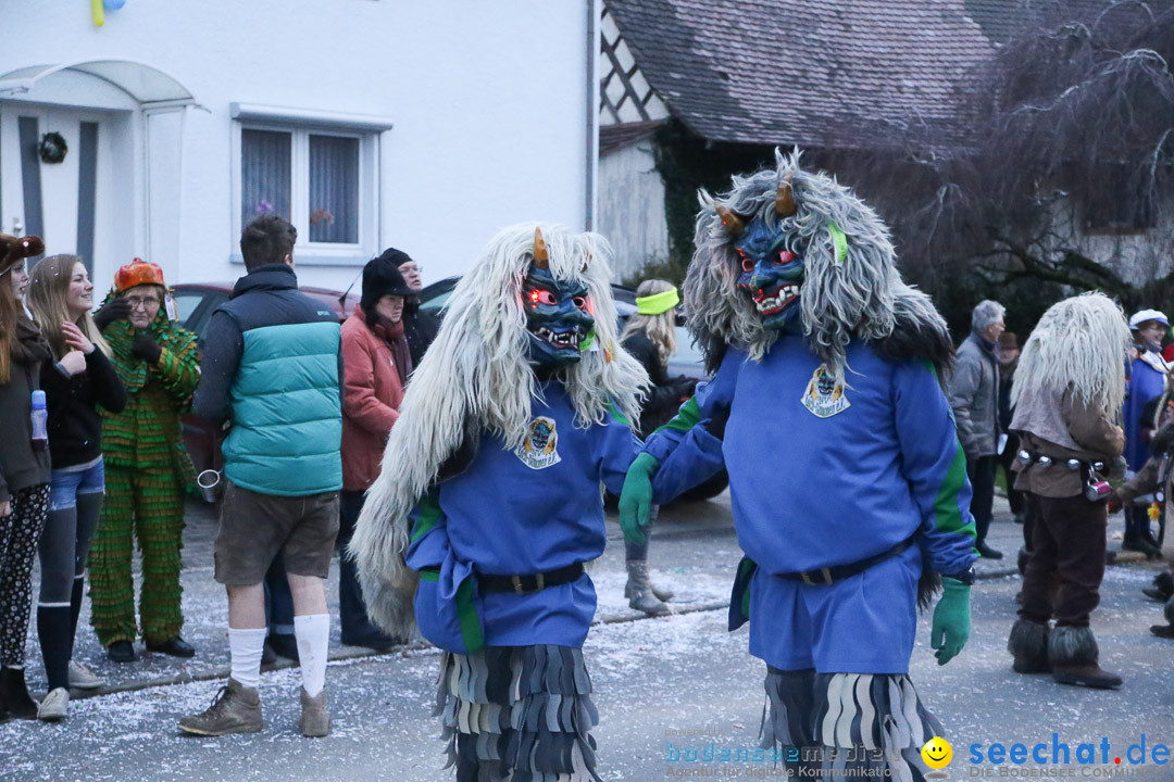 Jubilaeumsumzug-Berg-180114-Bodensee-Community-Seechat_de--3370.jpg