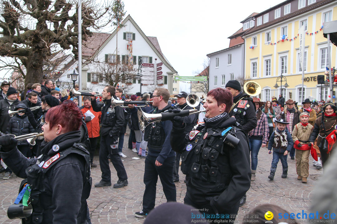 Narrensprung: Langenargen am Bodensee, 19.01.2014