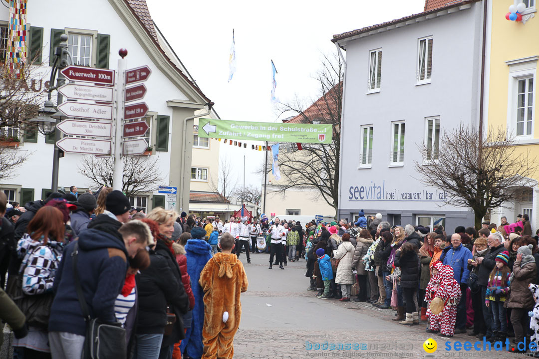 Narrensprung: Langenargen am Bodensee, 19.01.2014