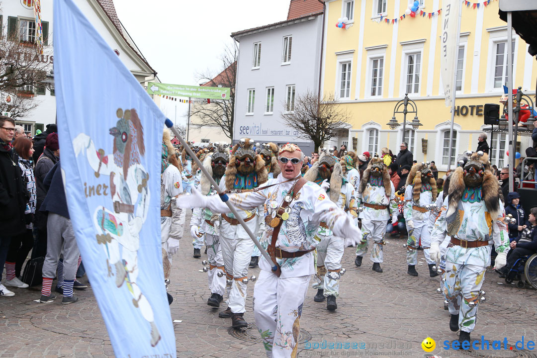 Narrensprung: Langenargen am Bodensee, 19.01.2014