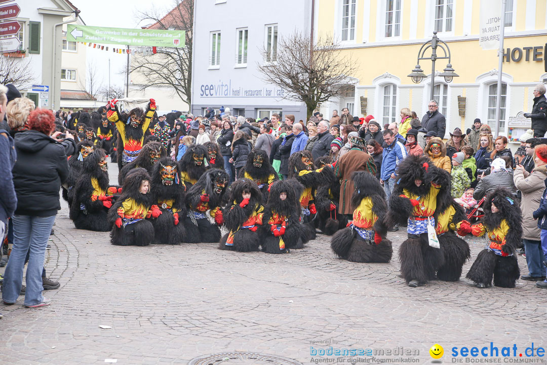 Narrensprung: Langenargen am Bodensee, 19.01.2014