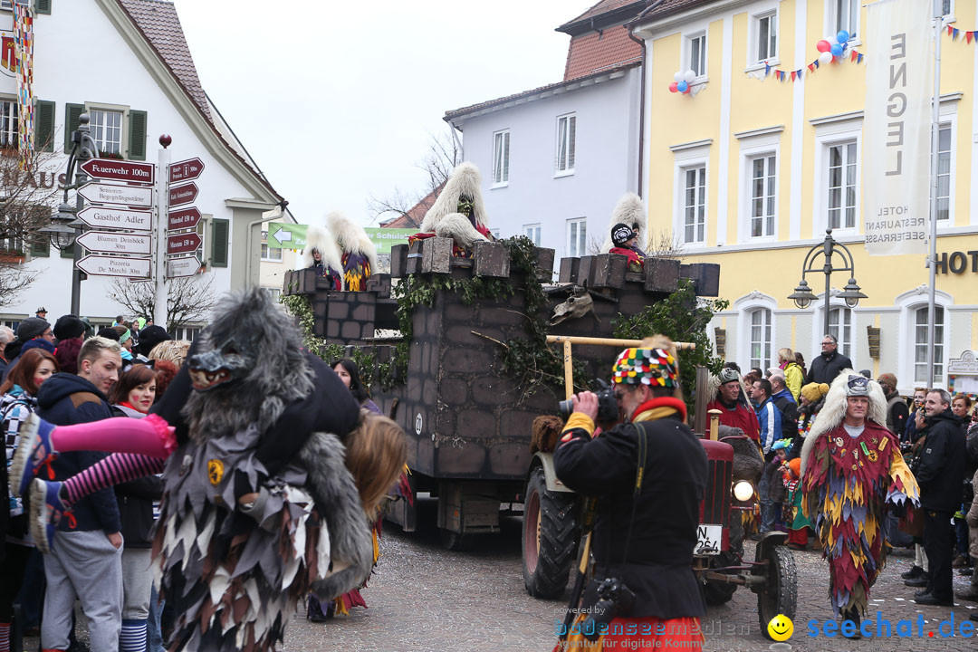 Narrensprung: Langenargen am Bodensee, 19.01.2014