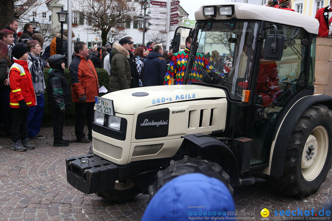 Narrensprung: Langenargen am Bodensee, 19.01.2014
