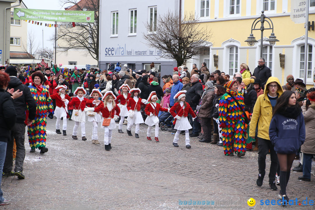 Narrensprung: Langenargen am Bodensee, 19.01.2014