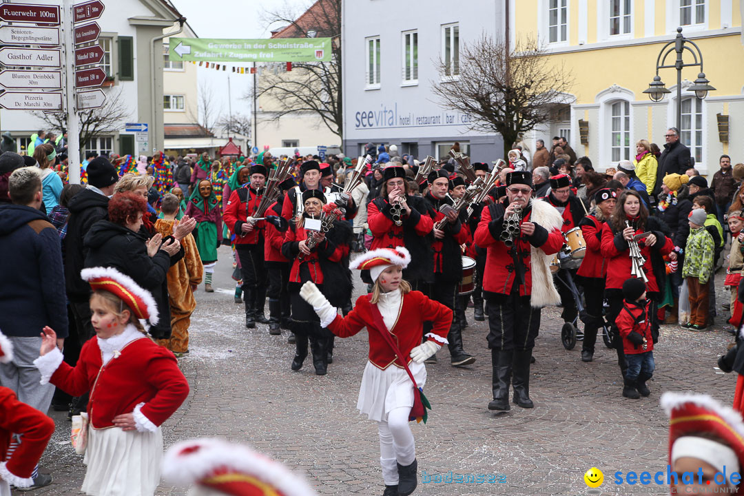 Narrensprung: Langenargen am Bodensee, 19.01.2014