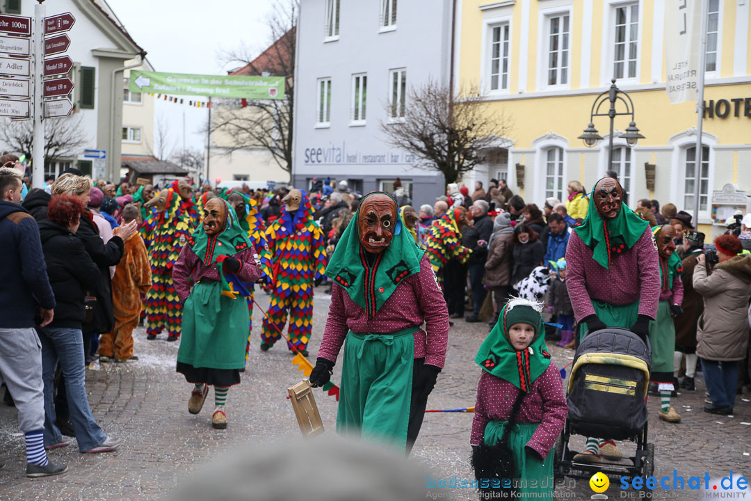 Narrensprung: Langenargen am Bodensee, 19.01.2014