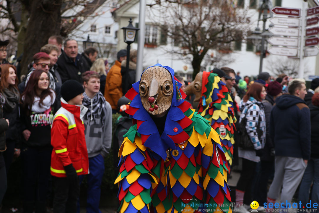 Narrensprung: Langenargen am Bodensee, 19.01.2014