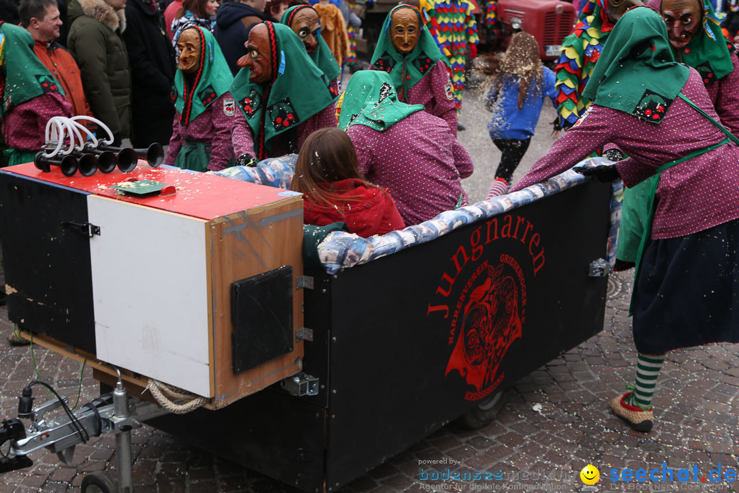 Narrensprung: Langenargen am Bodensee, 19.01.2014