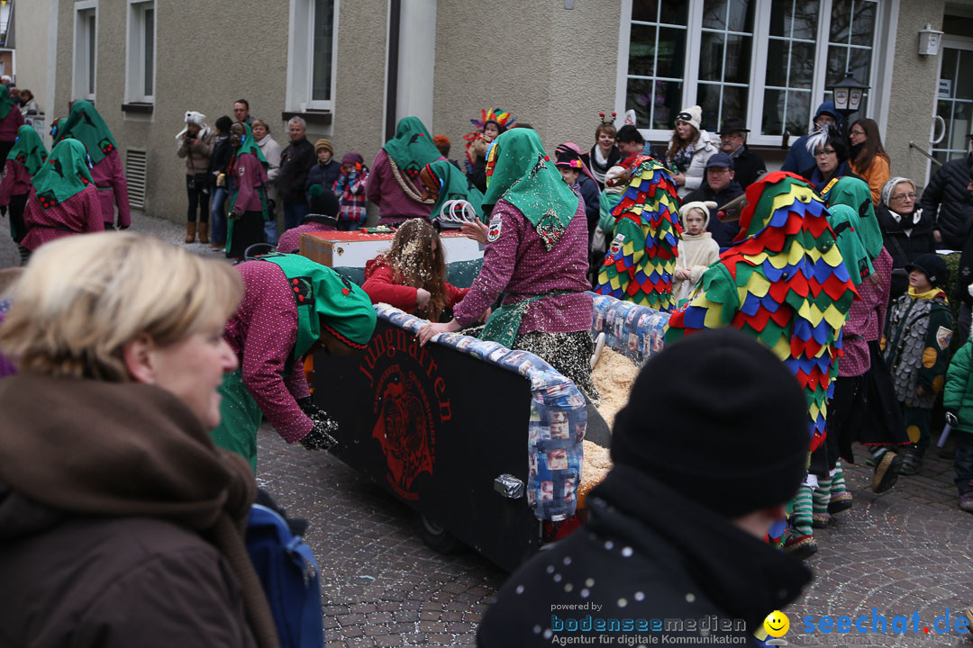 Narrensprung: Langenargen am Bodensee, 19.01.2014