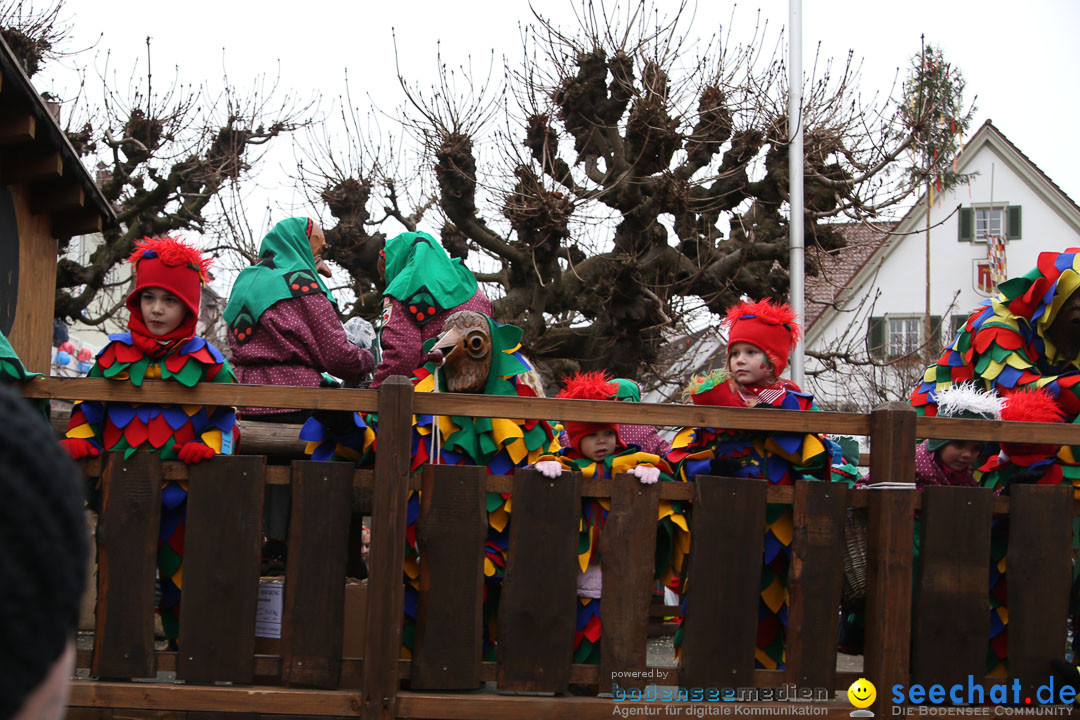 Narrensprung: Langenargen am Bodensee, 19.01.2014