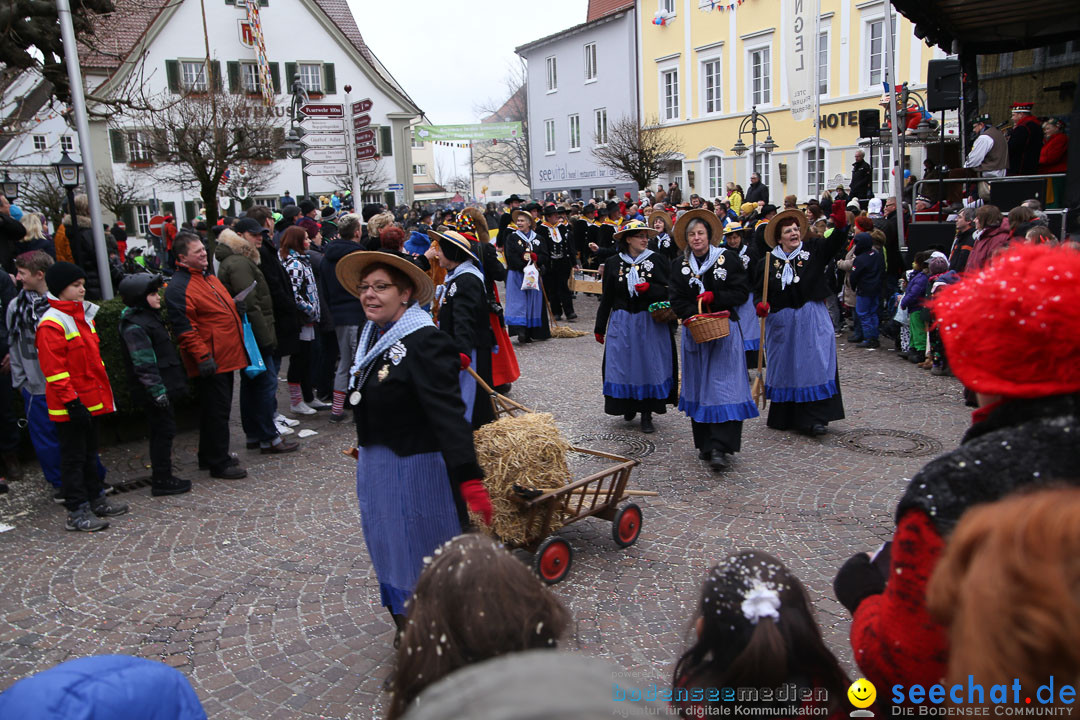 Narrensprung: Langenargen am Bodensee, 19.01.2014